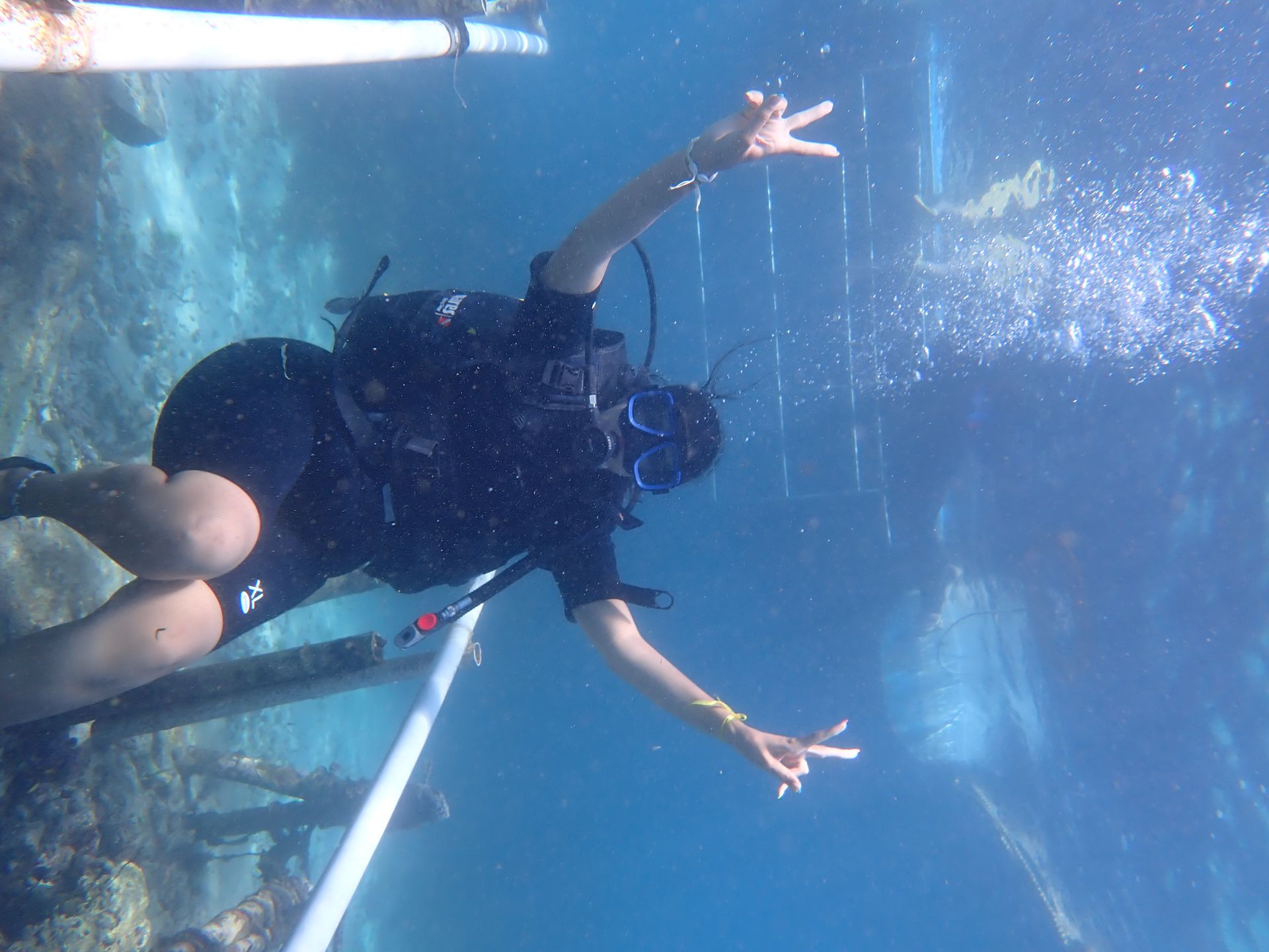 Diving - Image 2