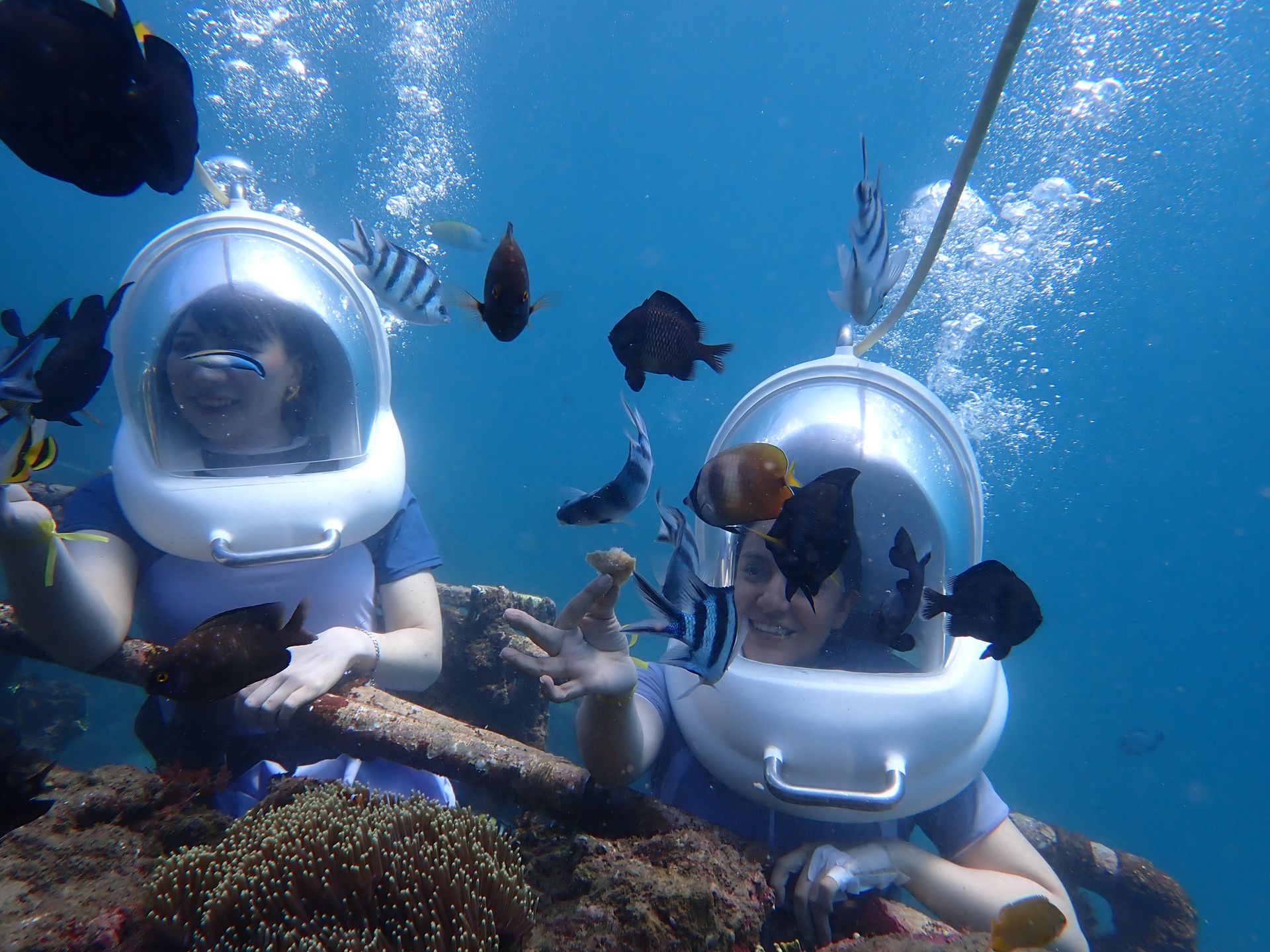 Petualangan surfing bersama Aqua Bliss